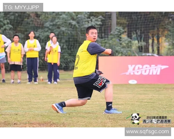 成都飞盘队比赛经验分析与表现评估的深度研究与探讨